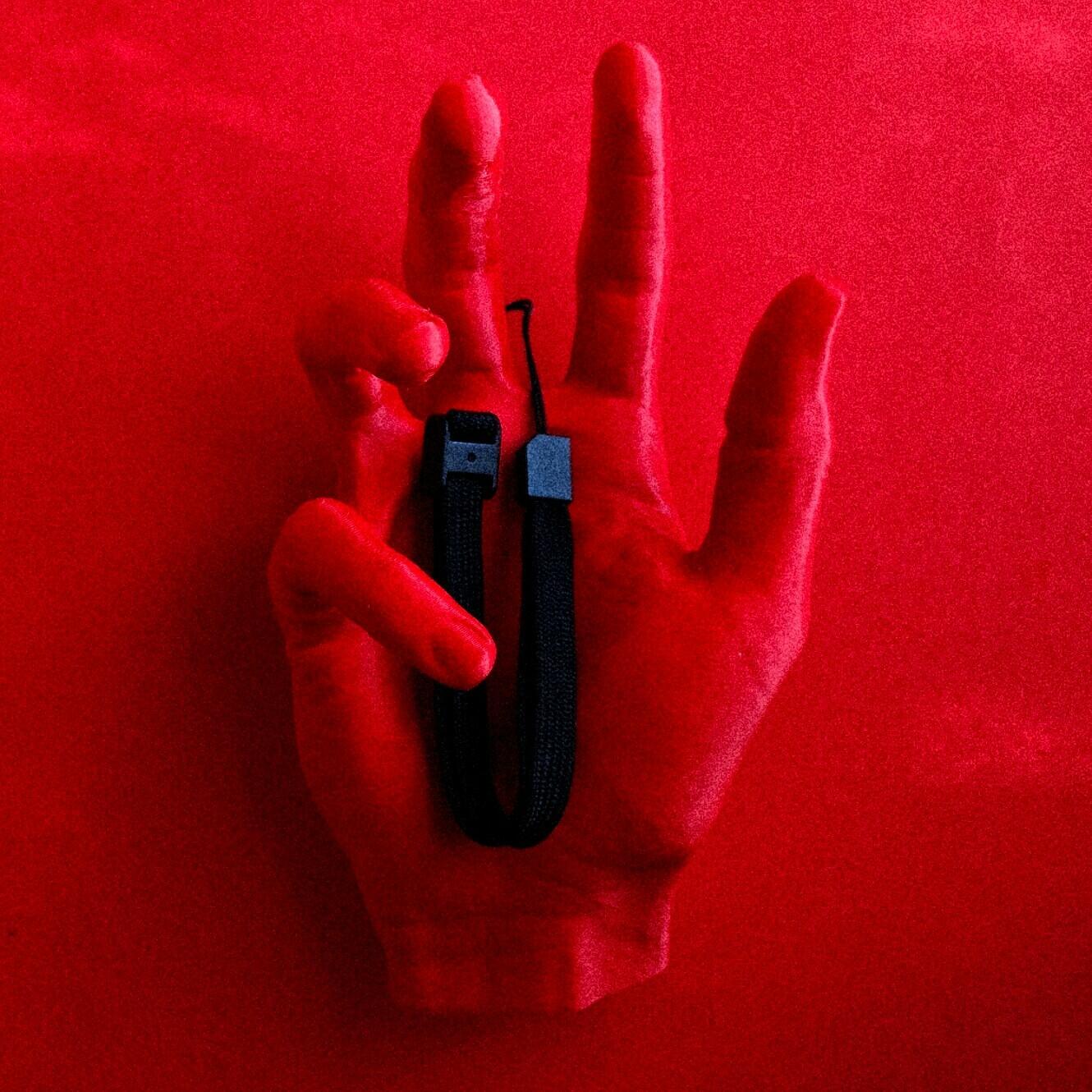 Wireless Remote Wii & Wii U